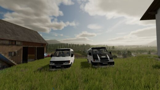 Ford Transit 12