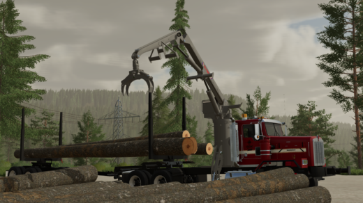 AR Olympic Self Loader